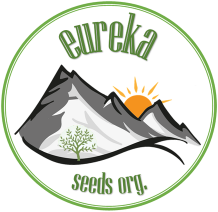 Purpurine F3 - Eureka Seeds